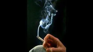 فیلمهای آموزشی