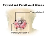 راه اندازي جراحي آندوكرين (تيروئيد و پاراتيروئيد) در مرکز