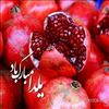 شب یلدا گرامی باد.