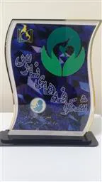 جشن نوزادان نارس
