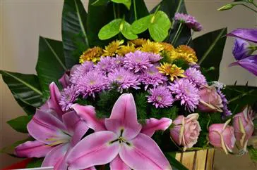 پیام تبریک ریاست محترم مرکز به جناب آقای دکتر صاحبی حق